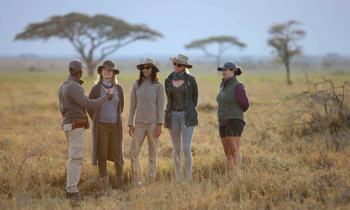 imgi_157_best-time-to-visit-tanzania-for-safari-tourist-guide-cheetah-safaris-2