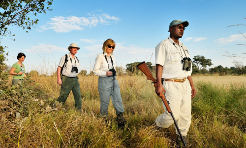 imgi_158_footsteps_19