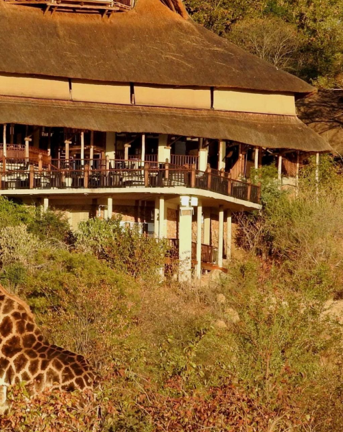 imgi_161_A-giraffe-in-front-of-Victoria-Falls-Safari-Lodge-scaled-2560x1280-1