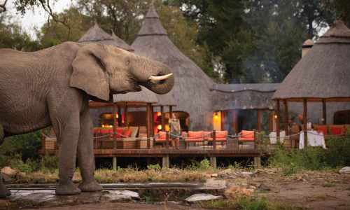 imgi_162_Extraordinary-Hoyo-Hoyo-Safari-Lodge-Main-area-elephants-at-water-hole