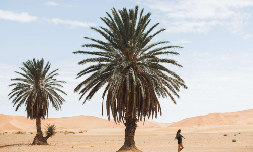 imgi_188_img-7FNK8WM-1