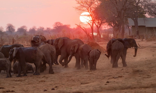 imgi_194_495173895_1074878384662473_5795187772770086736_n