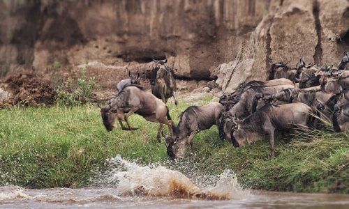 imgi_198_aws-sept-migration-a-leap-of-faith