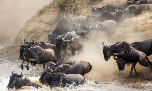 imgi_39_bc103f5bc814189f834617a9d65f20dffd738a28-1600x1143-1-scaled