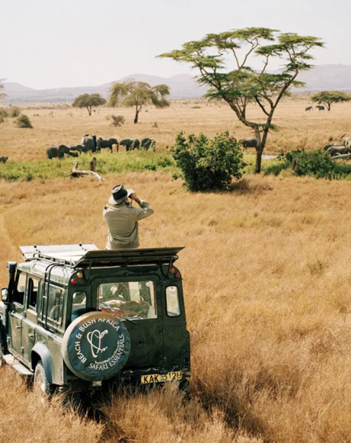 imgi_7_serengeti-national-park-safari-tanzania